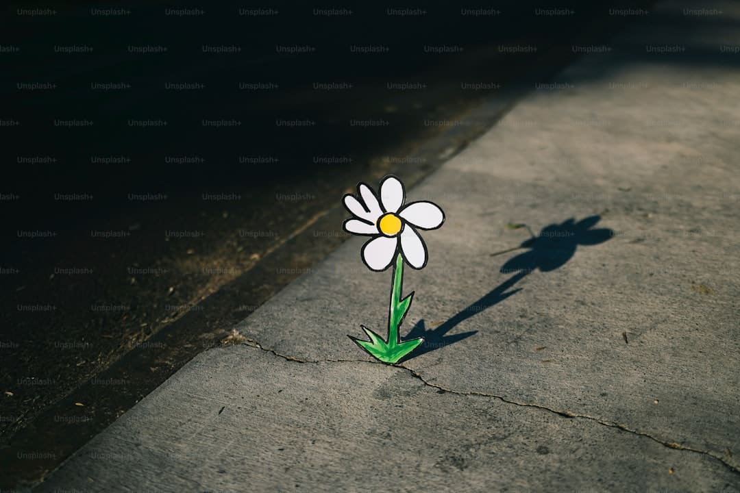 肠梗阻出院后吃什么好
